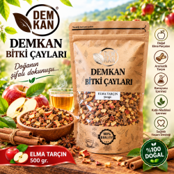 DEMKAN ELMA-TARÇIN MIX ÇAY 500 GR